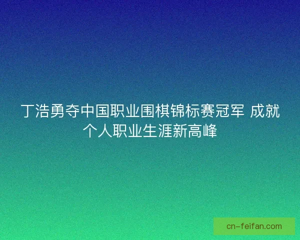 丁浩勇夺中国职业围棋锦标赛冠军 成就个人职业生涯新高峰