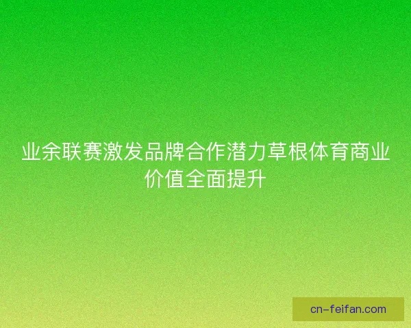 业余联赛激发品牌合作潜力草根体育商业价值全面提升 业余联赛激发品牌合作潜力草根体育商业价值全面提升